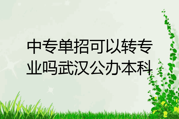 中专单招可以转专业吗武汉公办本科