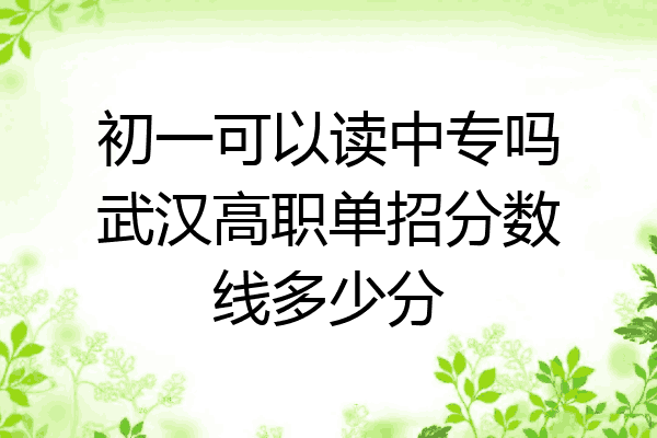 初一可以读中专吗武汉高职单招分数线多少分