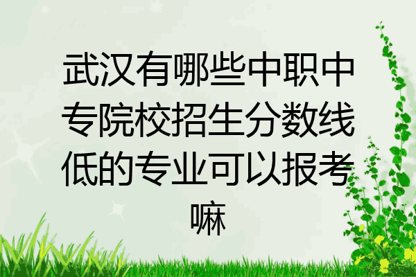 武汉有哪些中职中专院校招生分数线低的专业可以报考嘛