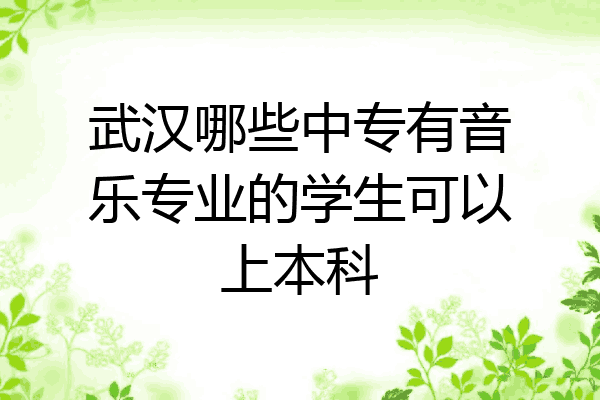 武汉哪些中专有音乐专业的学生可以上本科