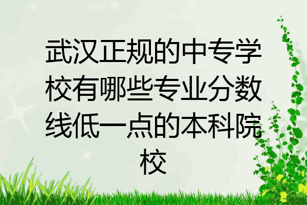 武汉正规的中专学校有哪些专业分数线低一点的本科院校