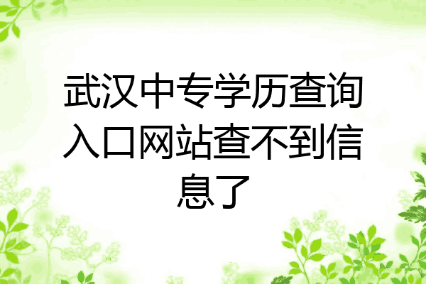 武汉中专学历查询入口网站查不到信息了