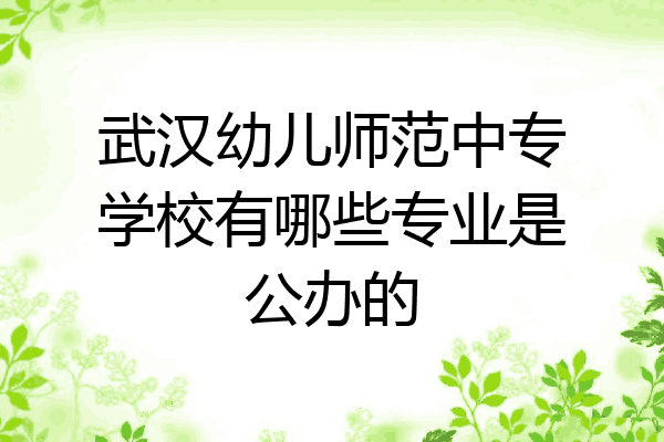 武汉幼儿师范中专学校有哪些专业是公办的