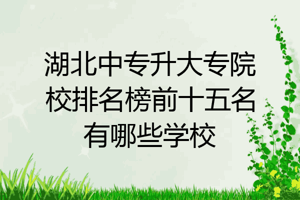 湖北中专升大专院校排名榜前十五名有哪些学校