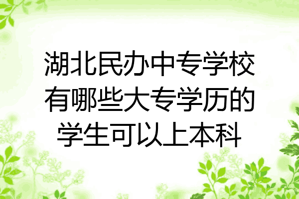 湖北民办中专学校有哪些大专学历的学生可以上本科