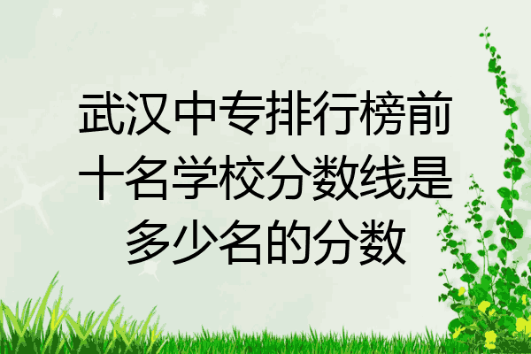 武汉中专排行榜前十名学校分数线是多少名的分数