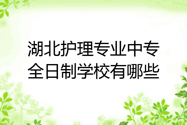 湖北护理专业中专全日制学校有哪些
