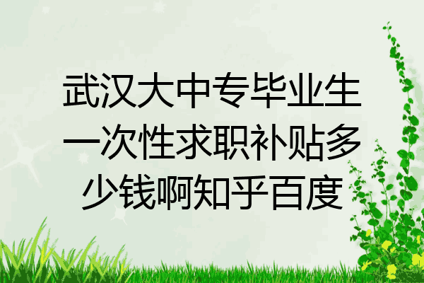武汉大中专毕业生一次性求职补贴多少钱啊知乎百度