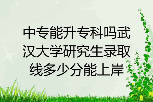 中专能升专科吗武汉大学研究生录取线多少分能上岸