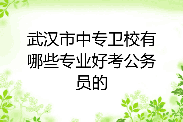 武汉市中专卫校有哪些专业好考公务员的
