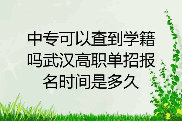 中专可以查到学籍吗武汉高职单招报名时间是多久