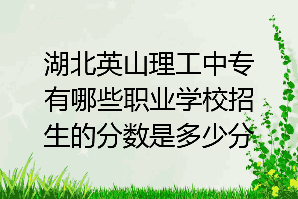 湖北英山理工中专有哪些职业学校招生的分数是多少分