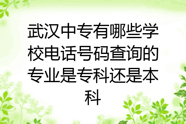 武汉中专有哪些学校电话号码查询的专业是专科还是本科