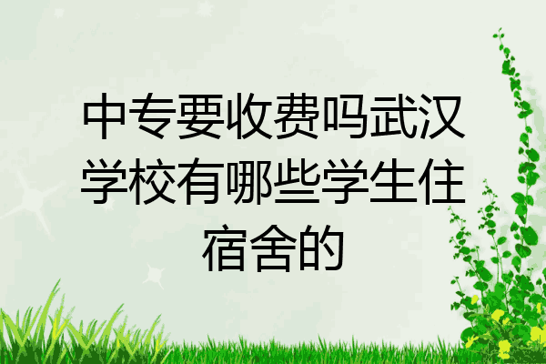 中专要收费吗武汉学校有哪些学生住宿舍的