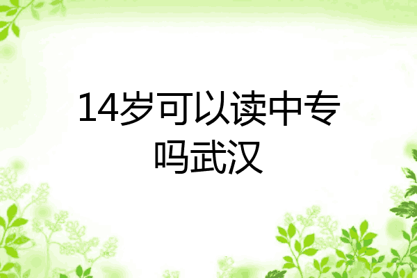 14岁可以读中专吗武汉