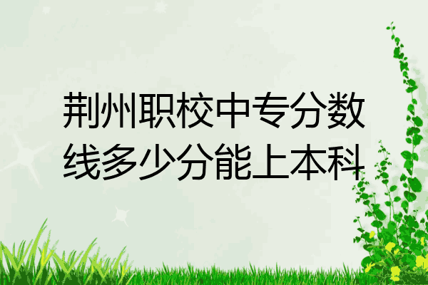 荆州职校中专分数线多少分能上本科