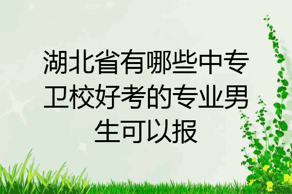 湖北省有哪些中专卫校好考的专业男生可以报