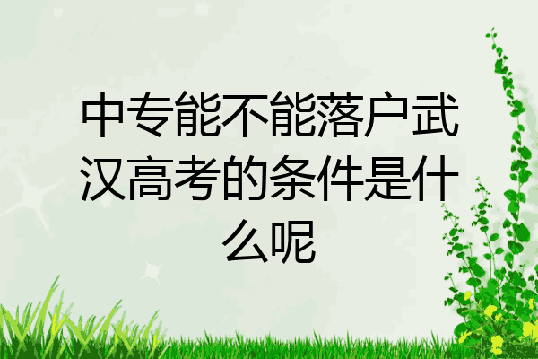 中专能不能落户武汉高考的条件是什么呢