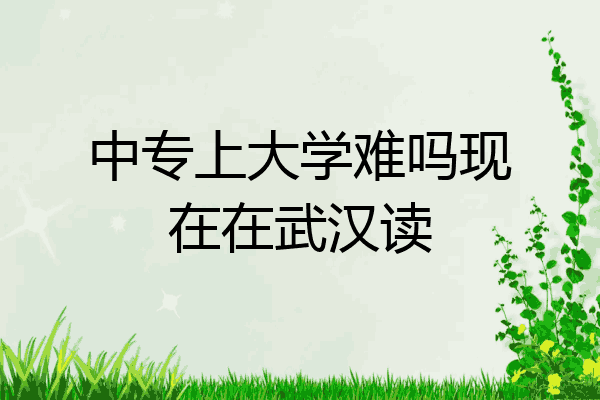 中专上大学难吗现在在武汉读