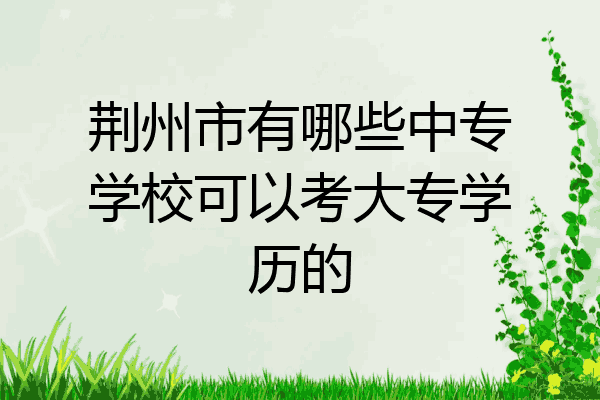 荆州市有哪些中专学校可以考大专学历的