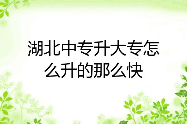 湖北中专升大专怎么升的那么快