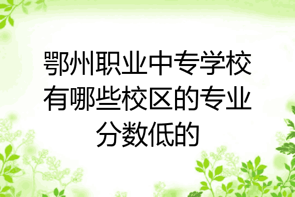 鄂州职业中专学校有哪些校区的专业分数低的