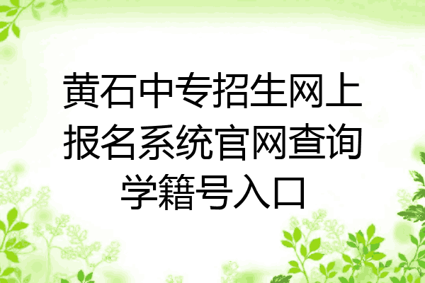 黄石中专招生网上报名系统官网查询学籍号入口