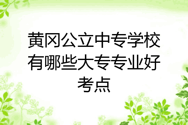 黄冈公立中专学校有哪些大专专业好考点