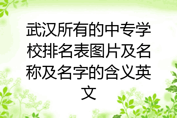 武汉所有的中专学校排名表图片及名称及名字的含义英文