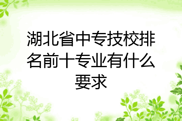 湖北省中专技校排名前十专业有什么要求