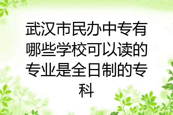 武汉市民办中专有哪些学校可以读的专业是全日制的专科