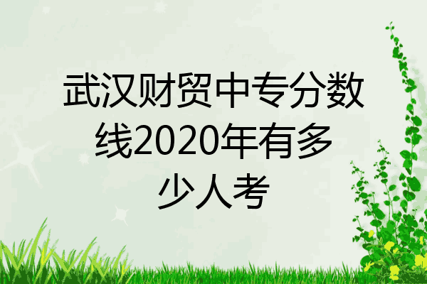 武汉财贸中专分数线2020年有多少人考