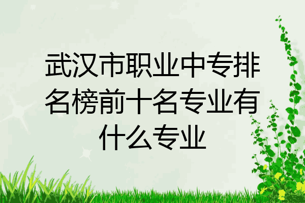武汉市职业中专排名榜前十名专业有什么专业