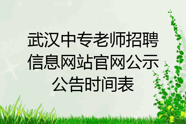 武汉中专老师招聘信息网站官网公示公告时间表