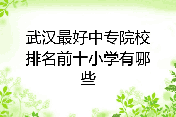 武汉最好中专院校排名前十小学有哪些