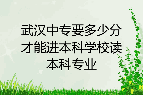 武汉中专要多少分才能进本科学校读本科专业