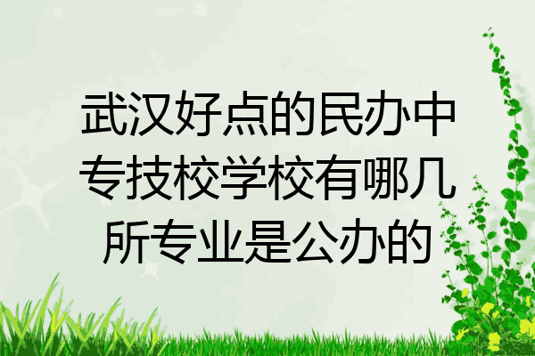 武汉好点的民办中专技校学校有哪几所专业是公办的