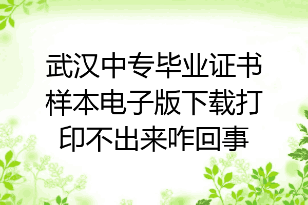 武汉中专毕业证书样本电子版下载打印不出来咋回事