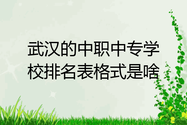 武汉的中职中专学校排名表格式是啥