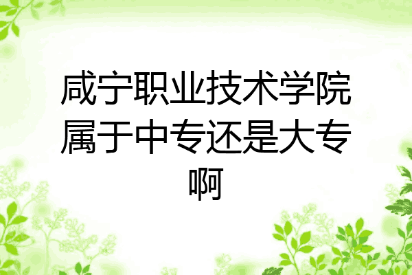 咸宁职业技术学院属于中专还是大专啊