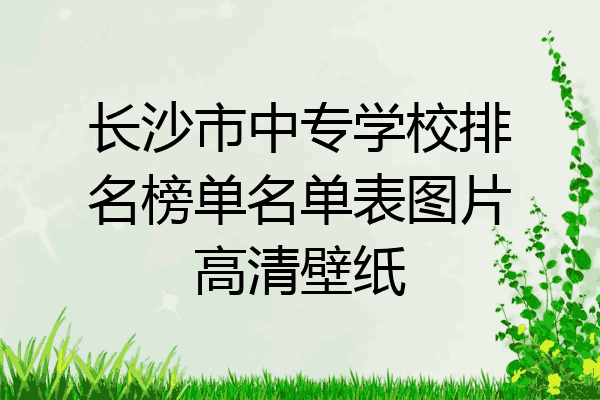 长沙市中专学校排名榜单名单表图片高清壁纸