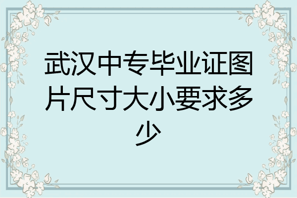 武汉中专毕业证图片尺寸大小要求多少
