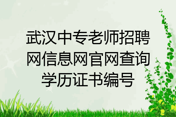 武汉中专老师招聘网信息网官网查询学历证书编号