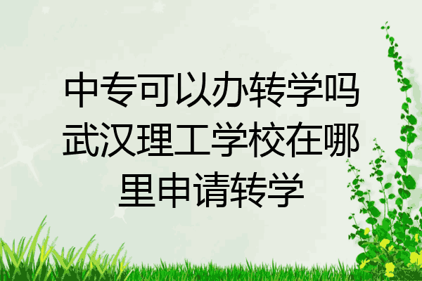 中专可以办转学吗武汉理工学校在哪里申请转学