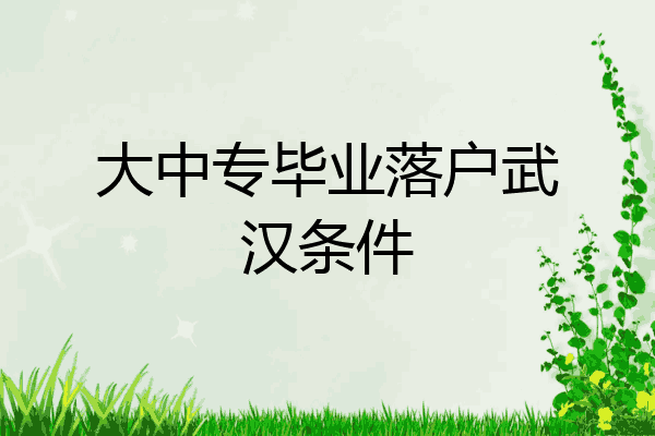 大中专毕业落户武汉条件