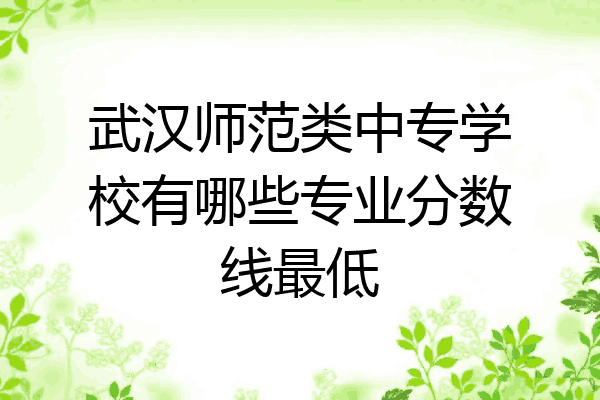 武汉师范类中专学校有哪些专业分数线最低