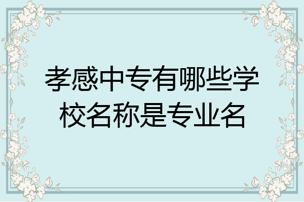 孝感中专有哪些学校名称是专业名