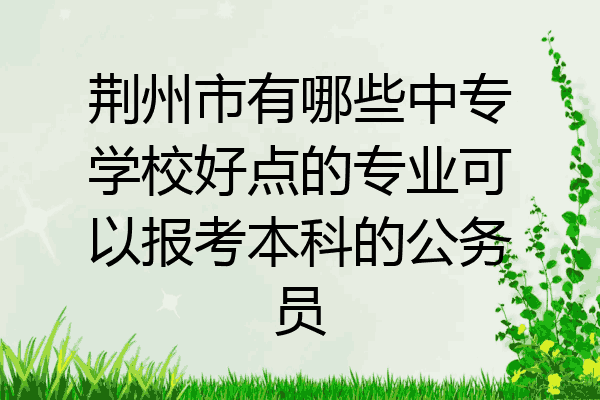 荆州市有哪些中专学校好点的专业可以报考本科的公务员