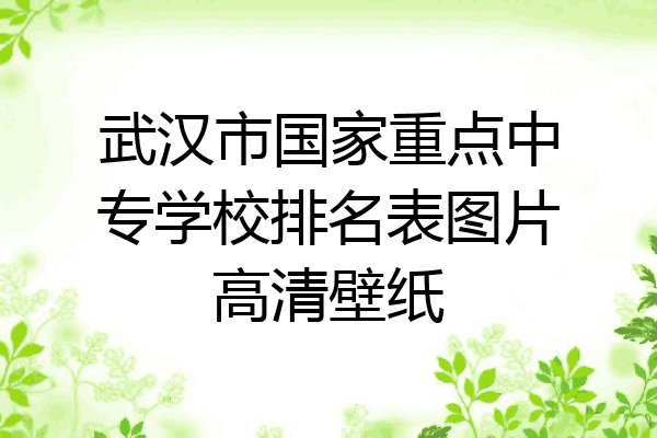 武汉市国家重点中专学校排名表图片高清壁纸