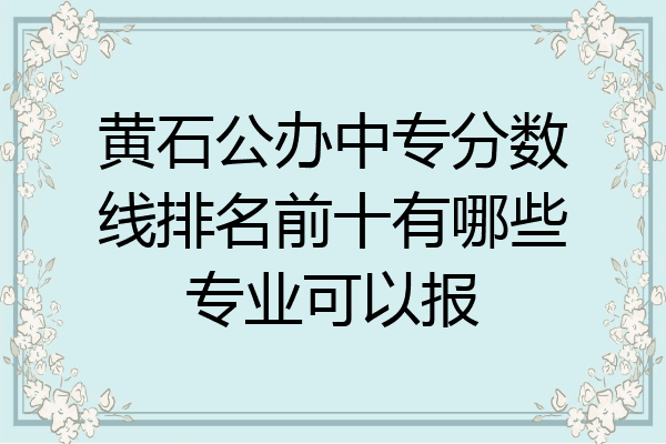 黄石公办中专分数线排名前十有哪些专业可以报